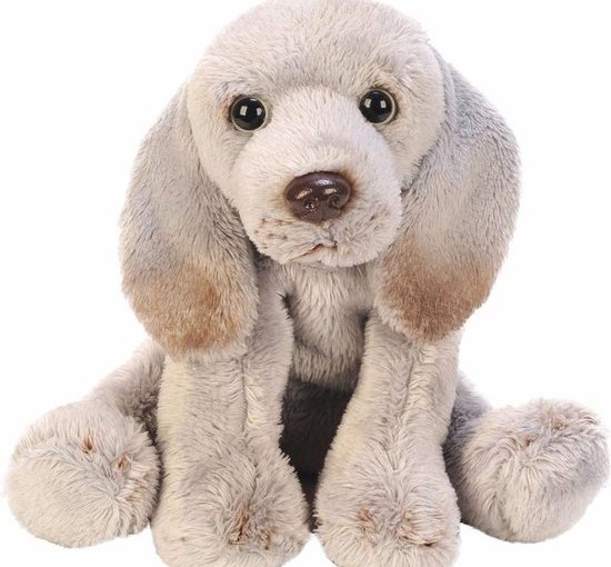 Vredige overgang: luisterend naar moeder’s laatste&nbsp;wens…