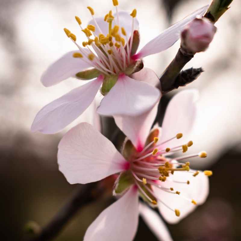 Maart: de Maand van Transformatie en&nbsp;Zelfontdekking